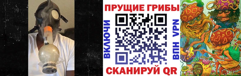 что такое   Гурьевск  Галлюциногенные грибы Psilocybine cubensis 